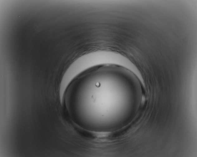 X0000089730280200706281554