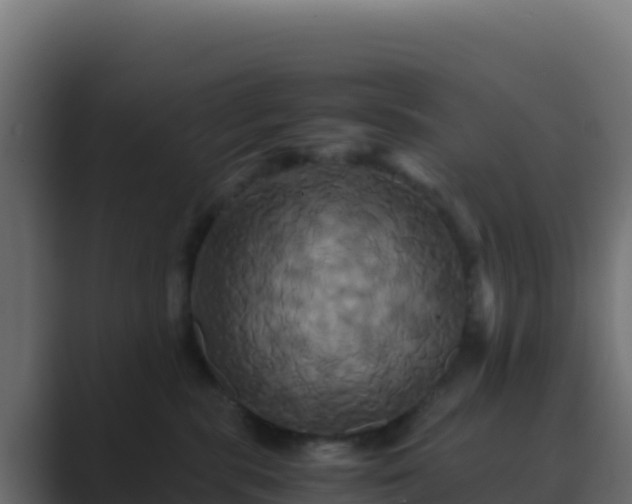X0000089730283200706281555