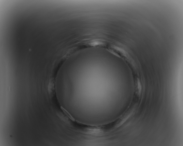 X0000089730284200706281555