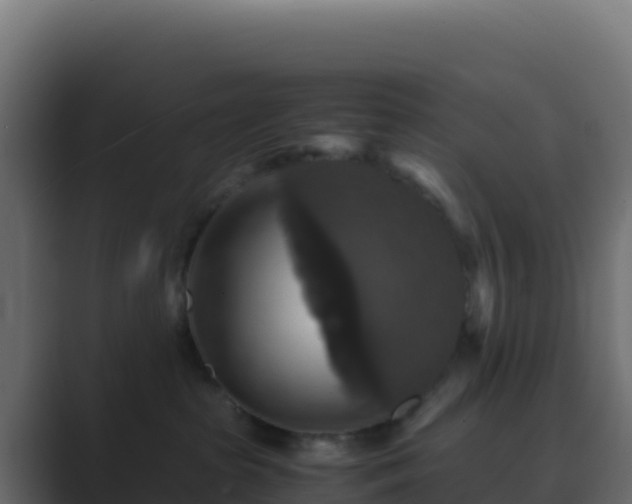 X0000089730285200706281555