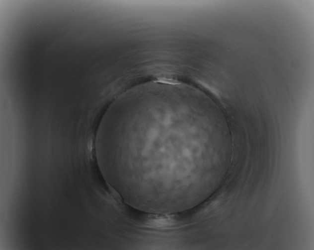 X0000089730288200706281555