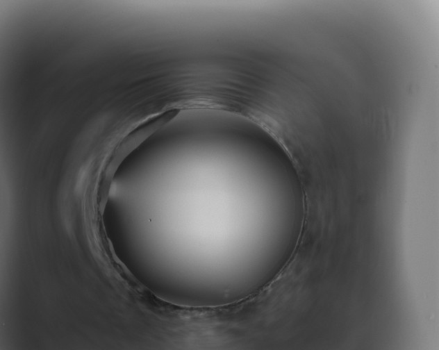 X0000089730289200706281554