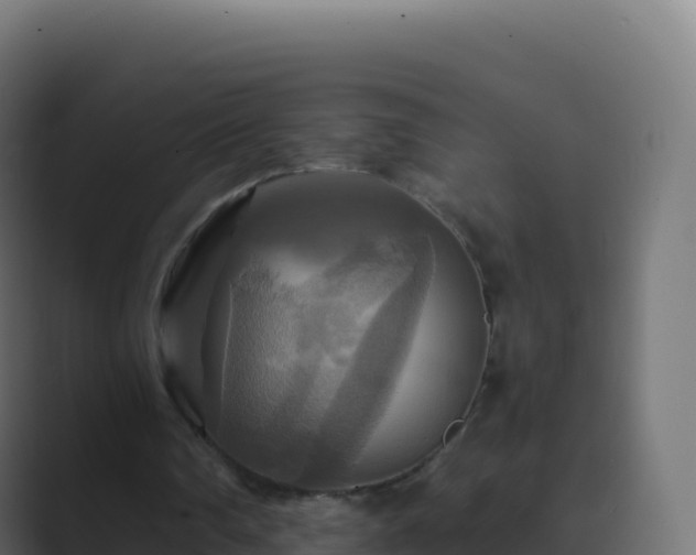 X0000089730290200706281554