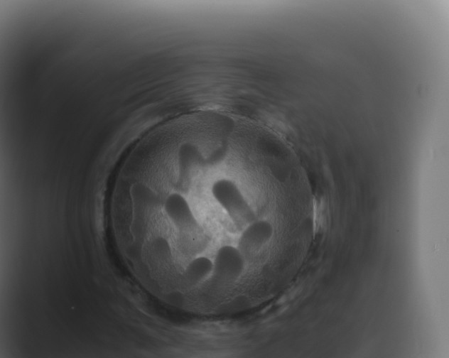 X0000089730291200706281554