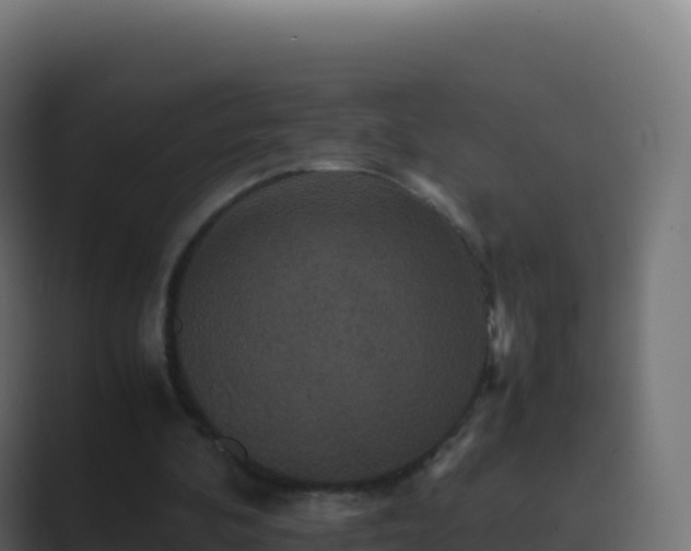 X0000089730292200706281554