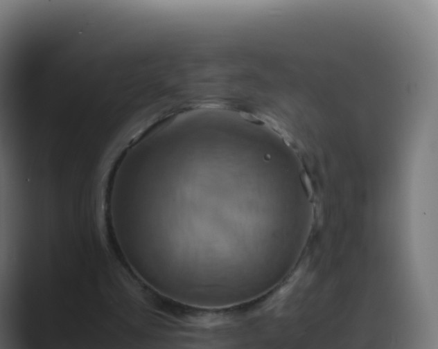 X0000089730293200706281554