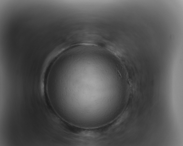 X0000089730294200706281554