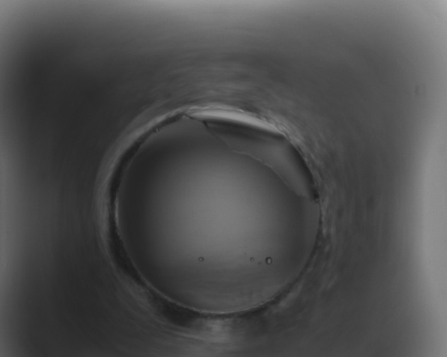 X0000089730295200706281554