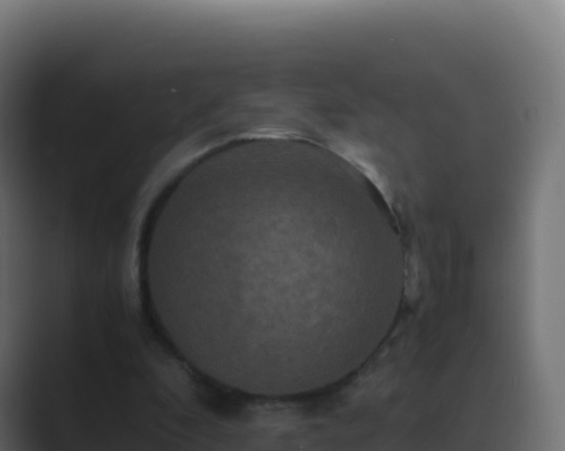 X0000089730296200706281554