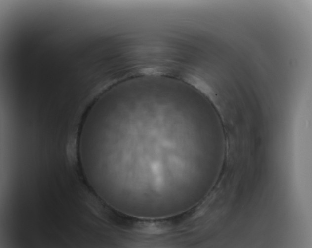 X0000089730297200706281554