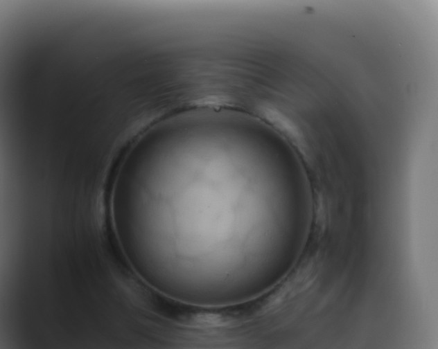 X0000089730298200706281554