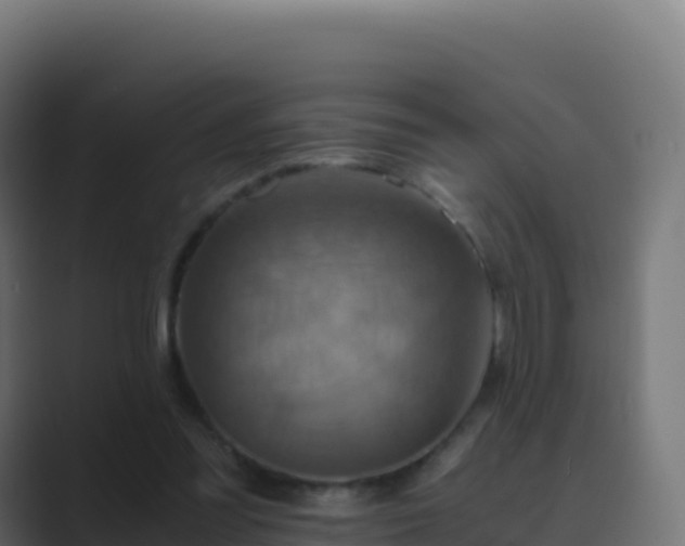 X0000089730301200706281554