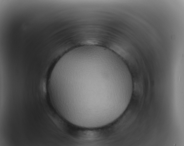 X0000089730302200706281554