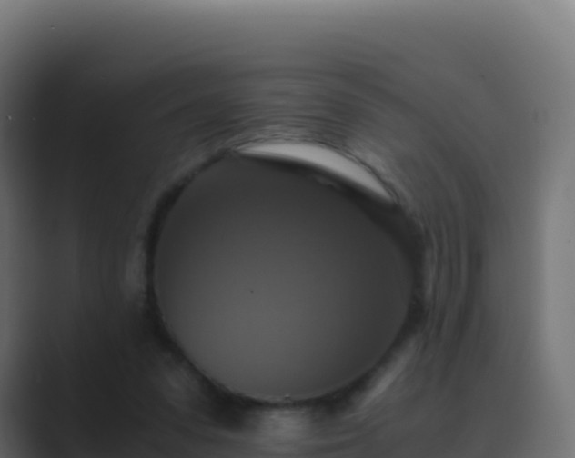 X0000089730303200706281554