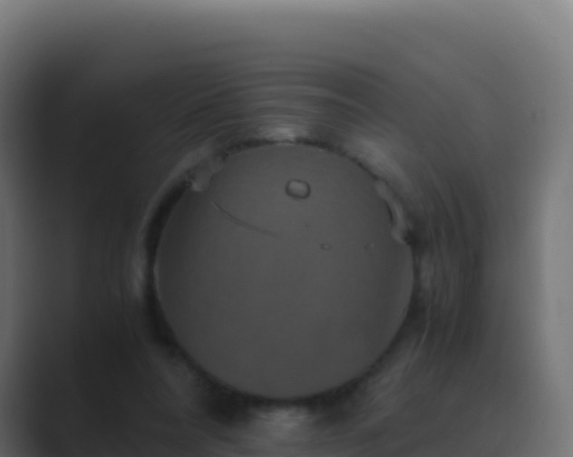 X0000089730304200706281554