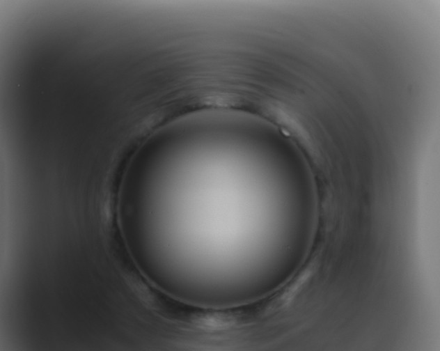 X0000089730305200706281554