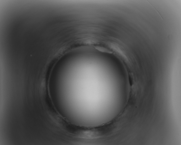 X0000089730306200706281554