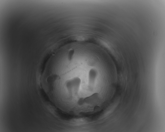 X0000089730307200706281554