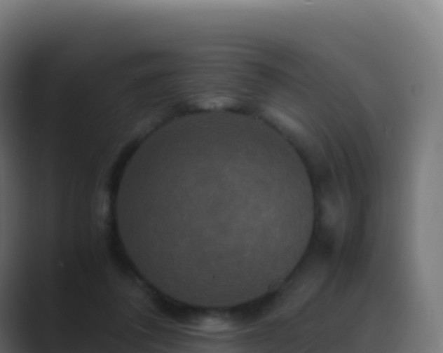 X0000089730308200706281554