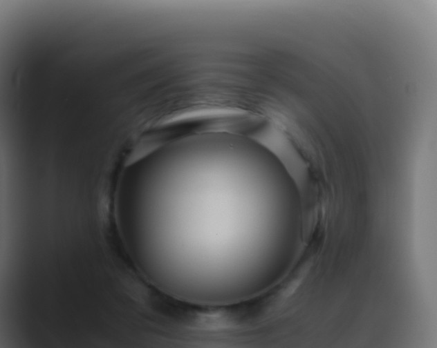 X0000089730309200706281554