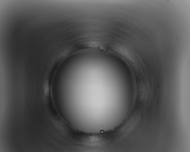 X0000089730310200706281554