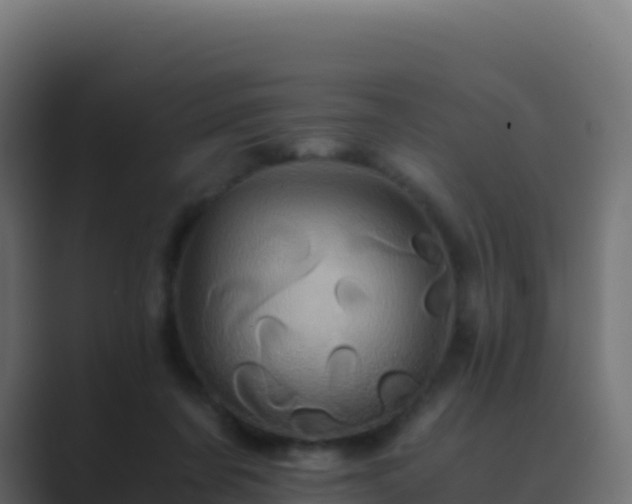 X0000089730311200706281554