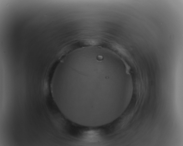 X0000089730312200706281554