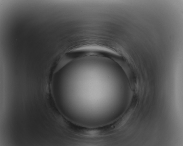 X0000089730313200706281554