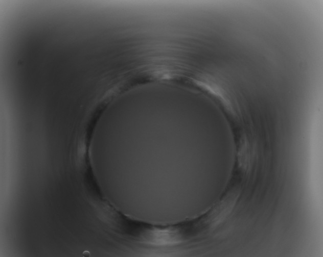 X0000089730314200706281554