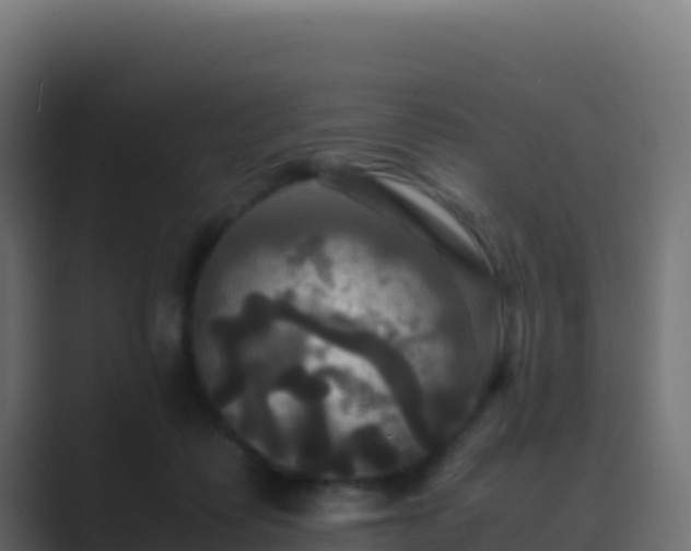 X0000089730315200706281554