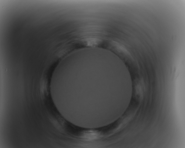 X0000089730316200706281554