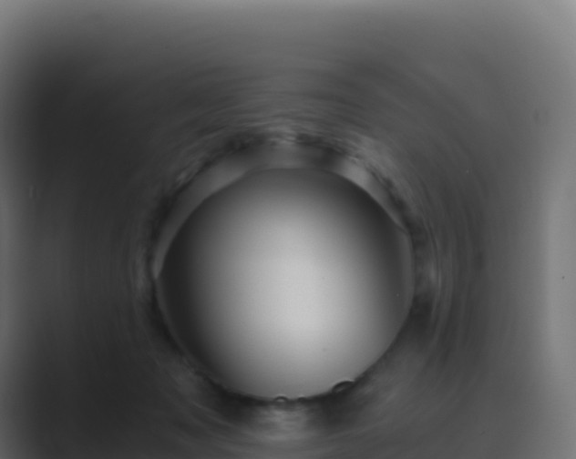 X0000089730317200706281554
