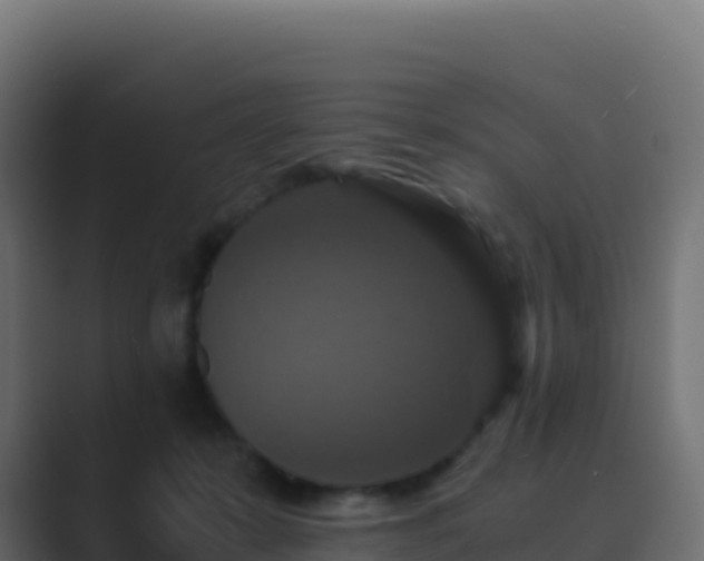 X0000089730319200706281554