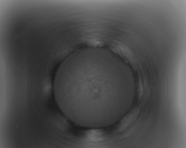 X0000089730320200706281554
