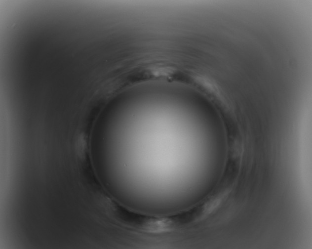 X0000089730321200706281554