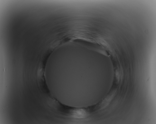X0000089730322200706281554