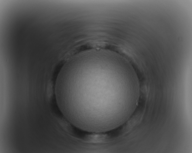 X0000089730323200706281554