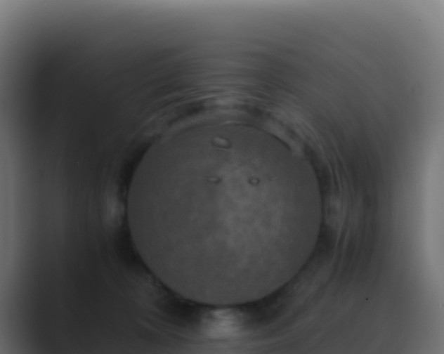 X0000089730324200706281554