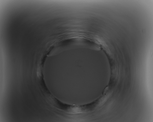 X0000089730325200706281554