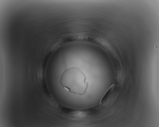 X0000089730326200706281554