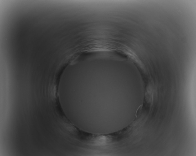 X0000089730330200706281554