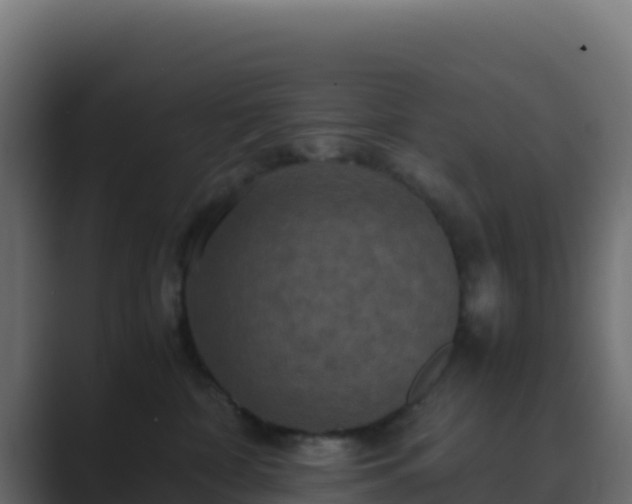 X0000089730332200706281554