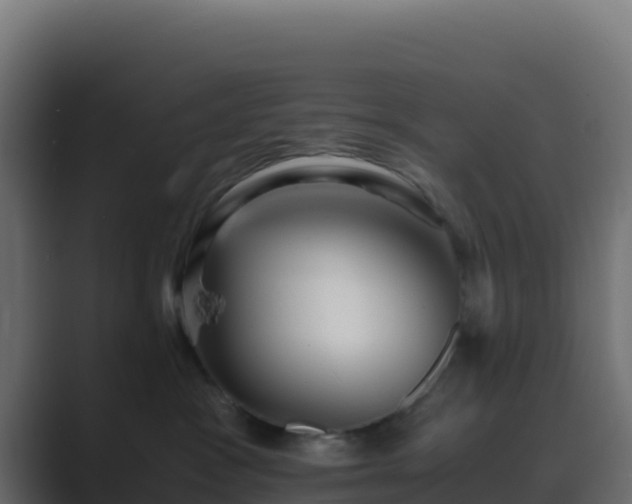X0000089730333200706281554