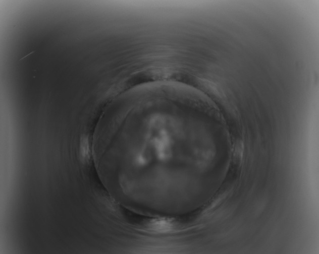 X0000089730335200706281554