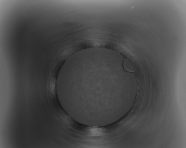 X0000089730336200706281553