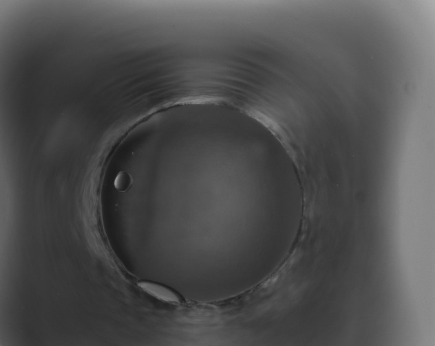X0000089730337200706281553