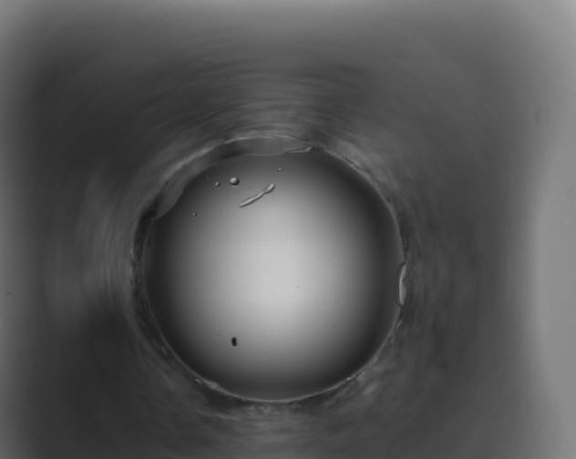 X0000089730338200706281553