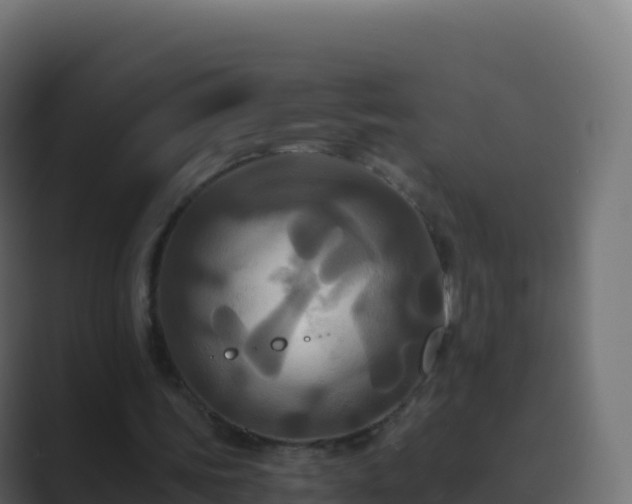 X0000089730339200706281553