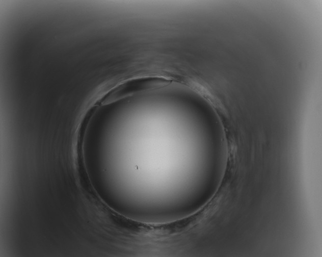 X0000089730340200706281553