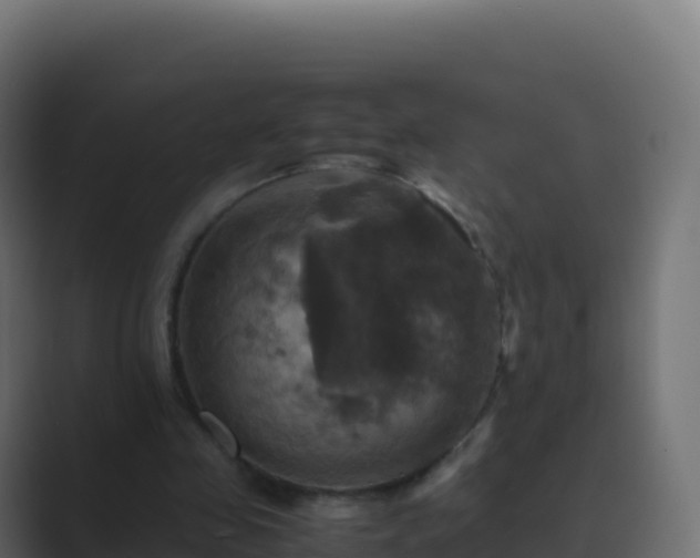 X0000089730341200706281553